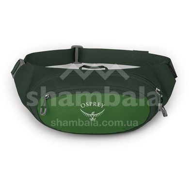 Поясная сумка Osprey Daylite Waist 2, Green Belt/Green Canopy (843820184372)