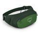Поясная сумка Osprey Daylite Waist 2, Green Belt/Green Canopy (843820184372)