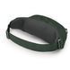 Поясная сумка Osprey Daylite Waist 2, Green Belt/Green Canopy (843820184372)