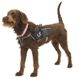 Рюкзак для собак Ultimate Direction Dog Vest, black, S (80469820-BK-S)