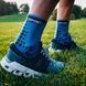 Шкарпетки Compressport Pro Racing Socks V3.0 Run High, Blue Lolite, T2 (PRSV3-RH 512 0T2)