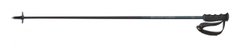 Палки трасовые горнолыжные универсальные Fischer Brilliant Carbon, 125 см (Z31019)