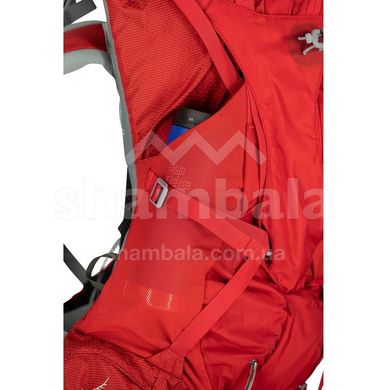 Рюкзак Osprey Ariel Plus 60, M/L, Carnelian Red (843820109856) - 2021