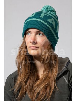 Шапка Montane Bobble Beanie, Shadow (5056237013066)
