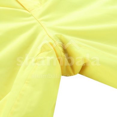 Штаны мужские Alpine Pro LERMON, Yellow, L (MPAY615236 L)