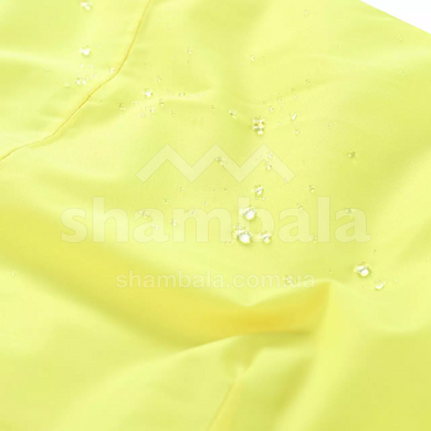Штаны мужские Alpine Pro LERMON, Yellow, L (MPAY615236 L)