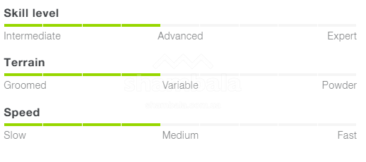 Лижі Elan Ace Speed Magic Pro Shift X EL 9.0, 160 cm (ELN AAMLZG25-160)