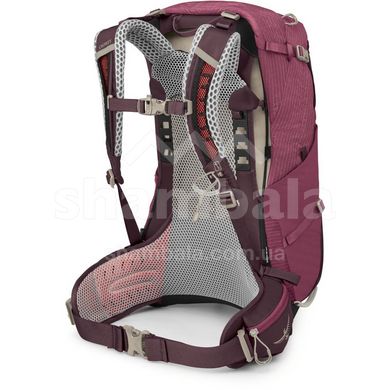 Рюкзак жіночий Osprey Sirrus 24, Elderberry Purple/Chiru Tan, O/S (843820177213)
