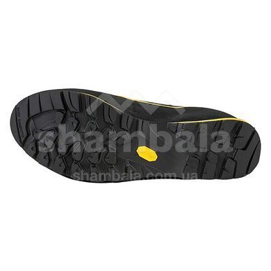 Черевики чоловічі La Sportiva Trango ALP EVO GTX, Grey/Yellow, 48 (LS 11NGYN-48)