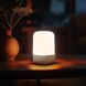 Кемпинговый фонарь Nextool Camping Lantern, 600 лм, Beige (NE20014A)