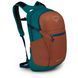 Рюкзак Osprey Daylite Plus 20, Umber Orange/Verdigris Green, O/S (843820125498)