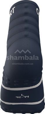 Шкарпетки Compressport Training Socks 2-Pack, Blues/White, T3 (XU00001B5055T3)