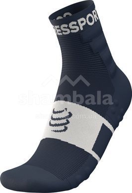Шкарпетки Compressport Training Socks 2-Pack, Blues/White, T3 (XU00001B5055T3)