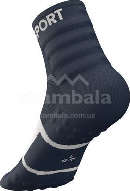 Шкарпетки Compressport Training Socks 2-Pack, Blues/White, T3 (XU00001B5055T3)