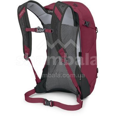 Рюкзак Osprey Hikelite 26, chameleon/black, O/S (10006483)