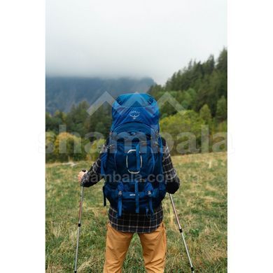 Рюкзак Osprey Aether 65, Garlic Mustard Green, L/XL (843820109122)