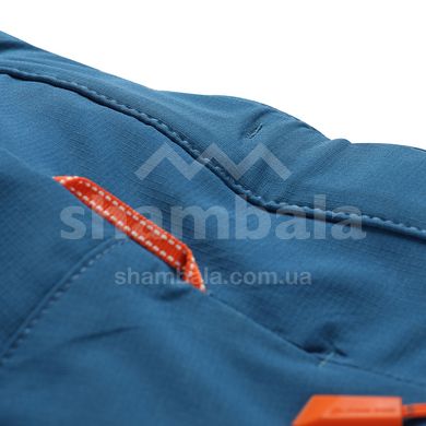Штаны мужские Alpine Pro ENOB, Turquoise, 46 (MPAY591600 46)