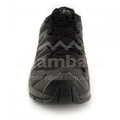 Кроссовки мужские Salomon XA PRO 3D v8 GTX, Black, 8 (SLM XAPRO3DV8.409889-8)