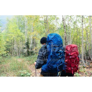 Рюкзак Osprey Aether 65, Garlic Mustard Green, L/XL (843820109122)