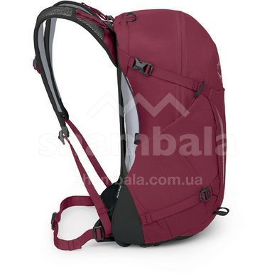 Рюкзак Osprey Hikelite 26, chameleon/black, O/S (10006483)
