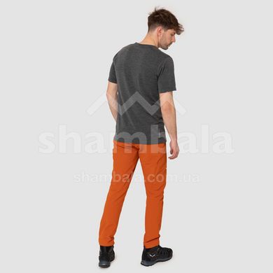 Штаны мужские Salewa Puez Dolomitic 2 DST M REG PNT, orange, 46/S (28484/4170 46/S)