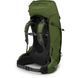 Рюкзак Osprey Aether 65, Garlic Mustard Green, L/XL (843820109122)