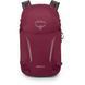 Рюкзак Osprey Hikelite 26, chameleon/black, O/S (10006483)