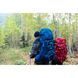 Рюкзак Osprey Aether 65, Garlic Mustard Green, L/XL (843820109122)