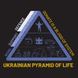 Футболка мужская Fram Equipment Ukrainian pyramid of life, Black, S (id_7137)