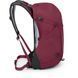 Рюкзак Osprey Hikelite 26, chameleon/black, O/S (10006483)