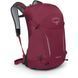 Рюкзак Osprey Hikelite 26, chameleon/black, O/S (10006483)