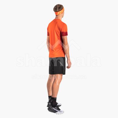 Футболка мужская Dynafit Vertical 2 M S/S Tee, orange, 46/S (709764491)