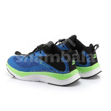 Кросівки дитячі Alpine Pro GREWO, Blue, 31 (KBTC411638 31)