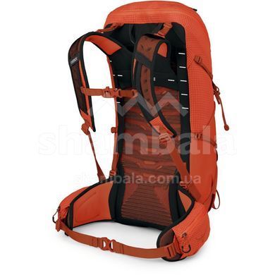 Рюкзак Osprey Talon Pro 30, Mars Orange, O/S (843820179330)