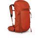 Рюкзак Osprey Talon Pro 30, Mars Orange, O/S (843820179330)
