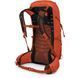 Рюкзак Osprey Talon Pro 30, Mars Orange, O/S (843820179330)