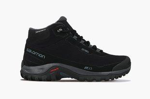 Черевики чоловічі Salomon Shelter CS WP, Black/Ebony/Black, 46 (SLM SHELTER.411104-11)