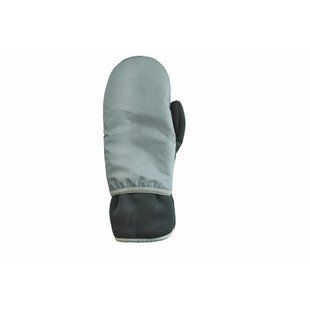Перчатки Travel Extreme Grizzly, M (TE-C010)