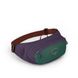 Поясная сумка Osprey Daylite Waist 2, axo green/enchantment purple (009.3094)