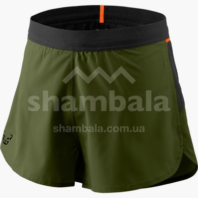 Шорты мужские Dynafit VERT 2 M Shorts, green, 46/S (711645891)