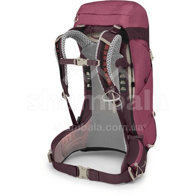 Рюкзак женский Osprey Sirrus 26, Elderberry Purple/Chiru Tan, O/S (843820177220)