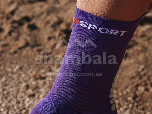Носки Compressport Pro Racing Socks V4.0 Run High 2022, Purple/Paradise Green, T2 (XU00046S 367 0T2)