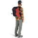 Рюкзак Osprey Heritage Scarab 30, Bazan Red, O/S (843820121780)