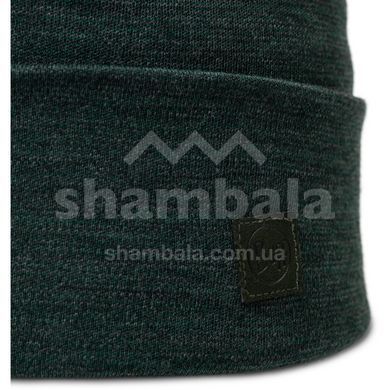 Шапка Buff Merino Heavyweight Beanie Solid, Forest (BU 111170.809.10.00)