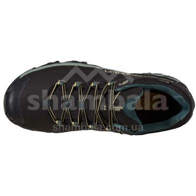 Кроссовки мужские La Sportiva Ultra Raptor II Leather GTX, Black/Cedar, 42.5 (LS 34F999811-42.5)