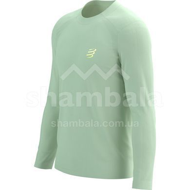 Чоловіча футболка c довгим рукавом Compressport Performance LS Tshirt M, Ice Flow, M (7630102584592)