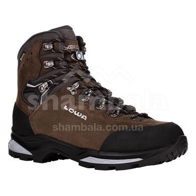 Черевики трекінгові чоловічі LOWA Camino Evo GTX, Brown/Graphite, 47.0 (211627-4527-47.0)