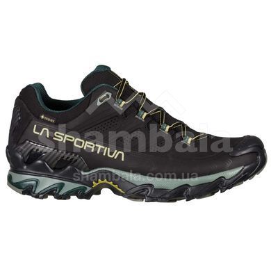 Кроссовки мужские La Sportiva Ultra Raptor II Leather GTX, Black/Cedar, 42.5 (LS 34F999811-42.5)