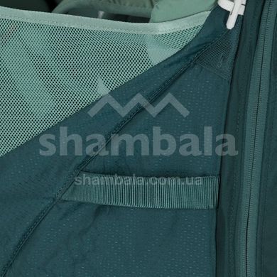 Рюкзак для переноски детей Osprey Poco LT (2024), Starry Black (843820125931)