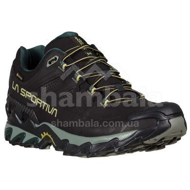 Кроссовки мужские La Sportiva Ultra Raptor II Leather GTX, Black/Cedar, 42.5 (LS 34F999811-42.5)